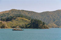 Queen Charlotte Sound